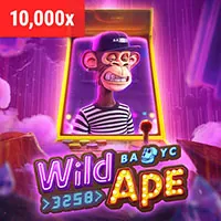 Nhà cung cấp phần mềm B